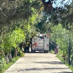 Enjambre de abejas desata emergencia en el Panteón Santiago; 10 personas resultan lesionadas1