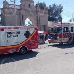 Enjambre de abejas desata emergencia en el Panteón Santiago; 10 personas resultan lesionadas2