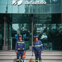 Fortalece AGSAL cuidado del agua con incorporación de Rex6