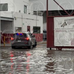 Hallan sin vida a operador de tráiler en empresa de Saltillo1