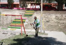 Instruye Javier Díaz intensa jornada de poda, limpieza y atención a espacios públicos