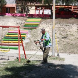 Instruye Javier Díaz intensa jornada de poda, limpieza y atención a espacios públicos