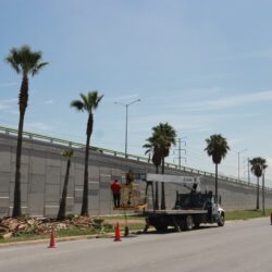 Instruye Javier Díaz intensa jornada de poda, limpieza y atención a espacios públicos2