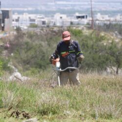 Instruye Javier Díaz intensa jornada de poda, limpieza y atención a espacios públicos4
