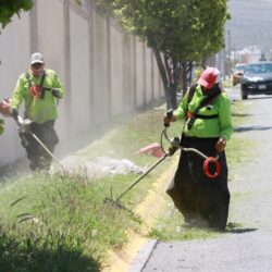 Instruye Javier Díaz intensa jornada de poda, limpieza y atención a espacios públicos5