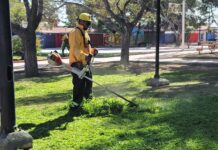 Intensifica Javier Díaz labores de desazolve en bulevar Colosio