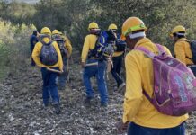 Intervención rápida ha sido clave en control de incendios en Coahuila
