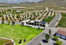 Invitan al gran evento Ramos Wine Fest, el próximo 20 de junio