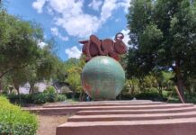 Niegan vayan a cobrar por sesiones fotográficas en parques en Coahuila