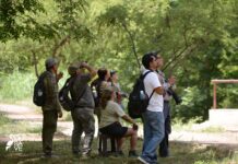¿Quieres aprender de la naturaleza, relajarte y divertirte al aire libre? Practica la observación de aves en este verano