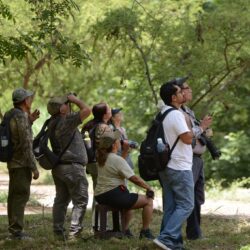 Quieres aprender de la naturaleza, relajarte y divertirte al aire libre Practica la observación de aves en este verano