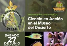 ¿Quieres aprender sobre biotecnología y genética de las plantas? Ven este sábado a la exhibición “Ciencia en Acción” en el MUDE