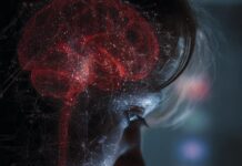 Redes sociales e IA dañan el cerebro de niños, alerta especialista de UAdeC