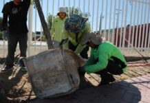 Reforesta Ayuntamiento bulevares y áreas verdes en favor de las familias