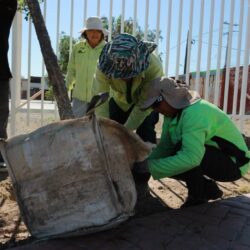 Reforesta Ayuntamiento bulevares y áreas verdes en favor de las familias