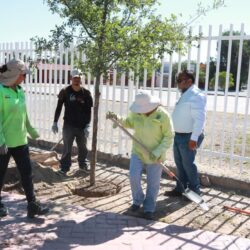 Reforesta Ayuntamiento bulevares y áreas verdes en favor de las familias1