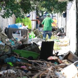 Reforesta Ayuntamiento bulevares y áreas verdes en favor de las familias2