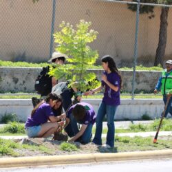 Reforesta Ayuntamiento bulevares y áreas verdes en favor de las familias5