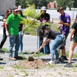 Reforesta Ayuntamiento bulevares y áreas verdes en favor de las familias6
