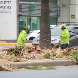 Refuerza Javier Díaz limpieza de callejones con maquinaria pesada3