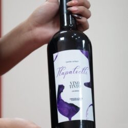 Representará Coahuila proyecto de vitivinicultura escolar en la 1ª Feria de Desarrollo Comunitario en Ensenada, Baja California2