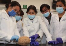 Se feminiza la medicina: Ana Carolina Sepúlveda