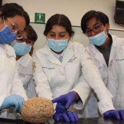 Se feminiza la medicina
