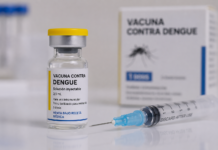 Alista Secretaría de Salud vacuna contra dengue