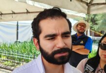 Capacitan en Coahuila a “médicos de barrio” para identificar a tiempo síntomas de rickettsia