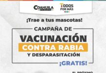 Convocan a dueños de mascotas en Ramos Arizpe a jornada gratuita de salud animal