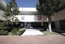 Disminuyen en UAdeC casos de depresión y ansiedad