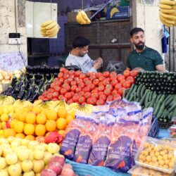 MEDIO ORIENTE-AUMENTO DEL PRECIO DE LOS ALIMENTOS