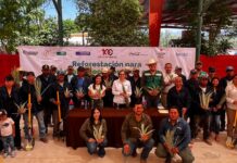 Impulsan reforestación en la Sierra y Cañón de Jimulco y fortalecen la captación de agua de lluvia