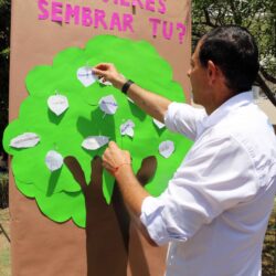 inaugura 5