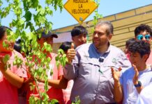 Más árboles, más vida: Ramos Arizpe fortalece su compromiso con el medio ambiente