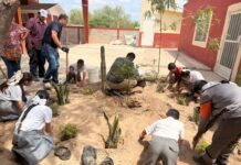 Medio Ambiente de Torreón refuerza proyecto de jardines polinizadores en escuelas