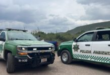 Multa Saltillo con 5 mil pesos a “cochinón por tirar basura en callejón