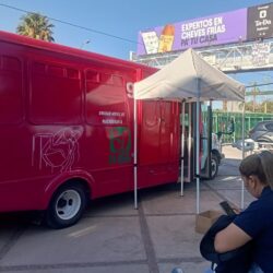 ofrece imss