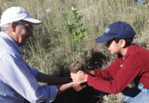 Pone asociación civil en adopción a arbolitos del Cañón de San Lorenzo