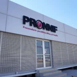 pronnif 2