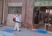 Refuerzan acciones de prevención y control de vectores y plagas en Torreón