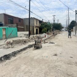 renuevaIMG_6687