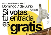 Si votas este domingo, tu entrada es gratis en el Museo de las Aves de México