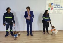 Tiene Saltillo dos perros detectores de fugas; Manchas y Rex han localizado 150 escapes de agua