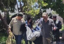Participa Policía Ambiental en rescate de oso en ejido Cuautla