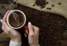 Festival de café de especialidad en Tijuana: qué esperar del Mundo Silvestre Coffee Camp 2026