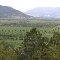 Con sus 8 Pueblos Mágicos, Coahuila sorprende con experiencias únicas1