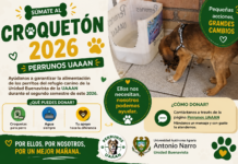 Convocan a sumarse al Croquetón 2026 de la Narro para alimentar a perros resguardados