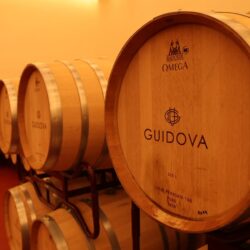Fortalecen la ruta Vinos y Dinos6