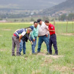 Gobierno Municipal de Arteaga informa resultados preliminares sobre la grieta registrada en la comunidad de Tierras Prietas6